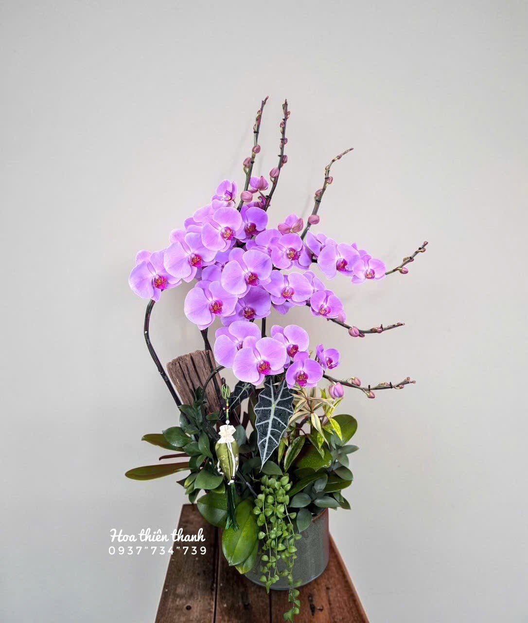 Chậu lan hồ điệp tím nghệ thuật tại cửa hàng hoa tươi Thủ Đức Hoa Thiên Thanh