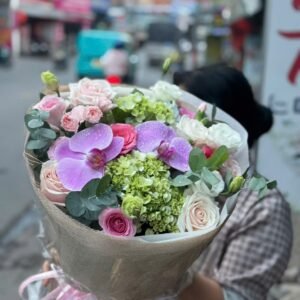 Hoa Lan Hồ Điệp 08